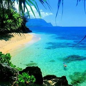 Meet your Posher, Todd